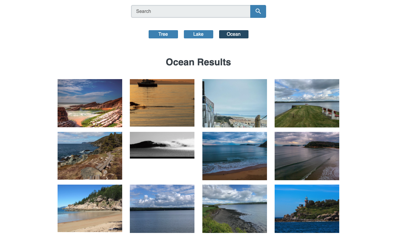 Flickr Search